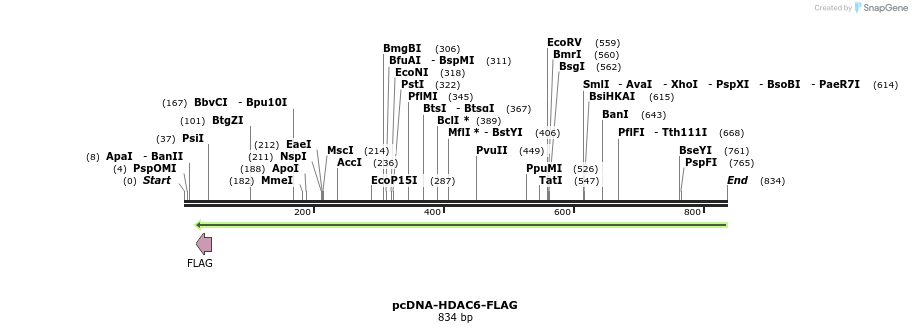 152954_map