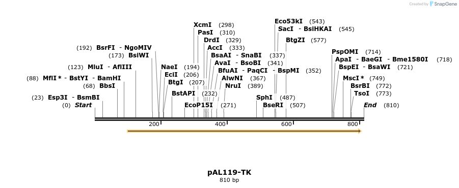 152955_map