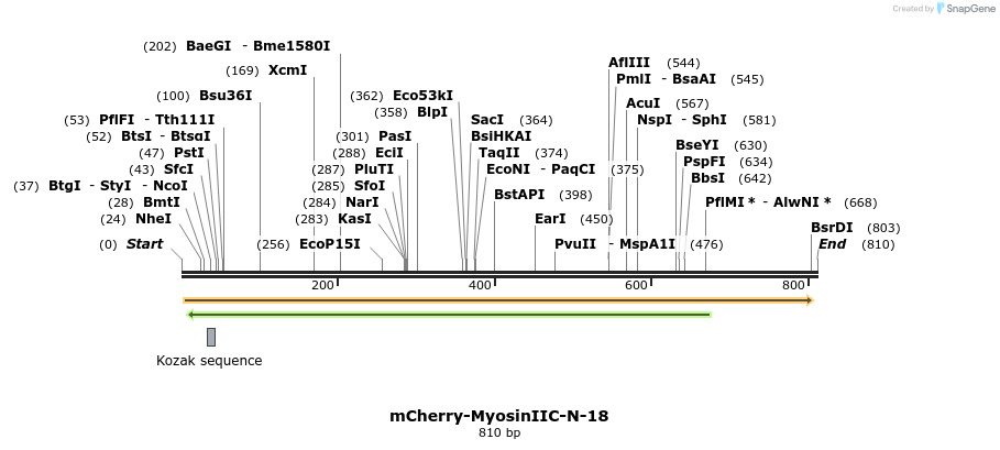152962_map