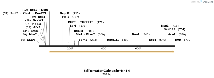 152964_map