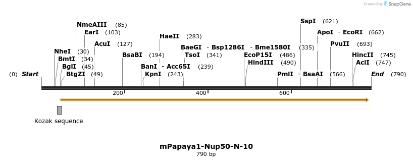 152966_map
