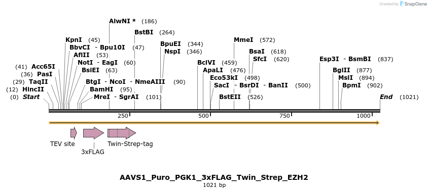 152970_map