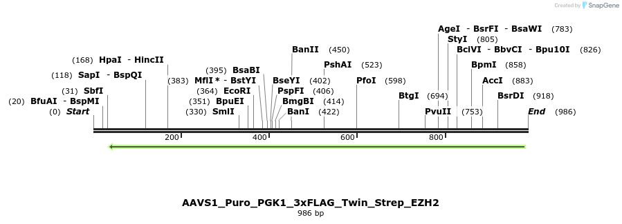152971_map