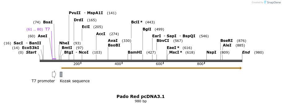 152985_map