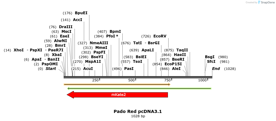 152988_map
