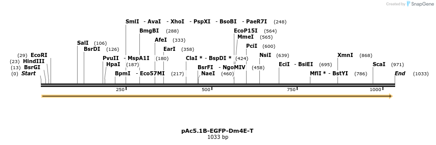 152993_map