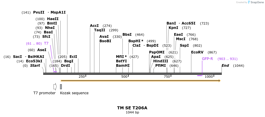 152994_map