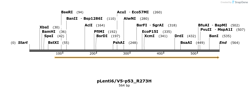 152998_map