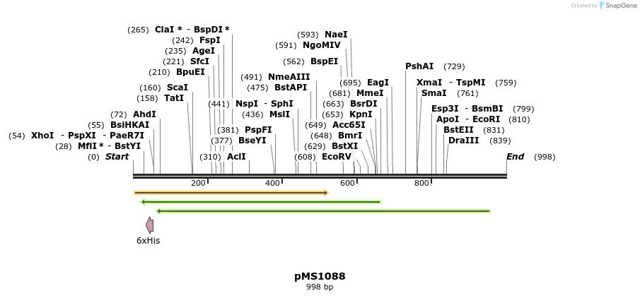 153003_map
