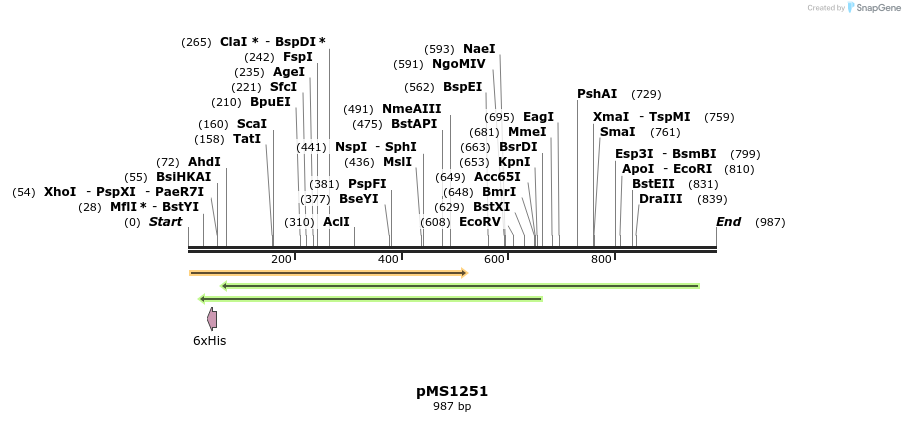 153007_map