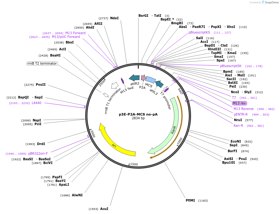 153009_map