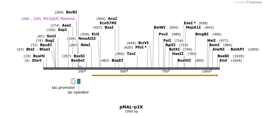 153022_map