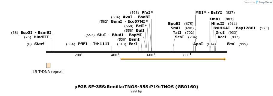 153028_map