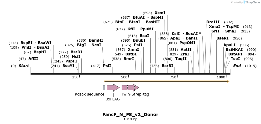 153032_map