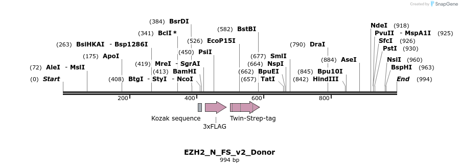 153034_map