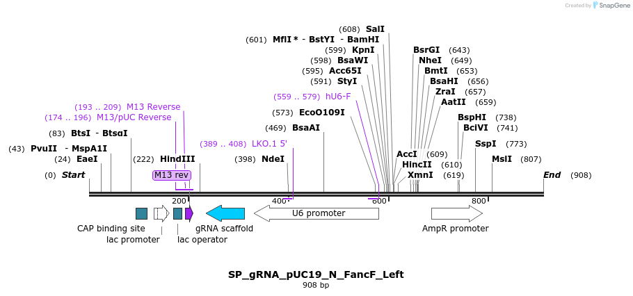 153037_map