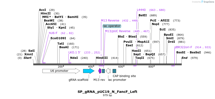 153038_map