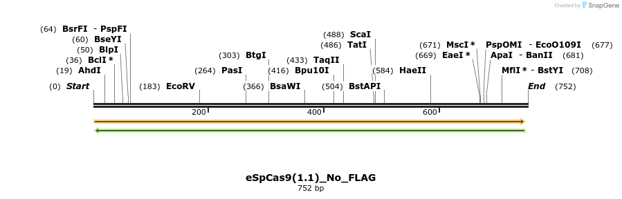 153039_map