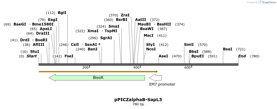 153047_map