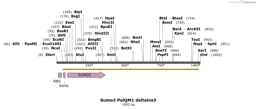 153051_map