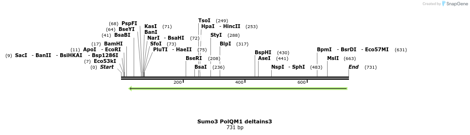 153052_map