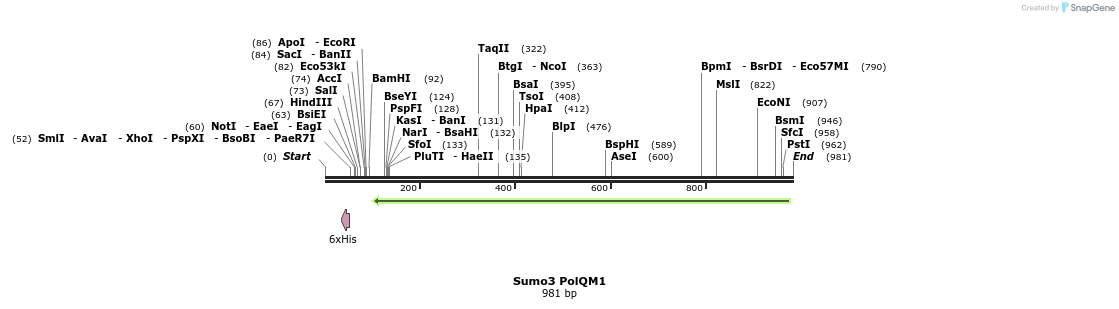 153059_map