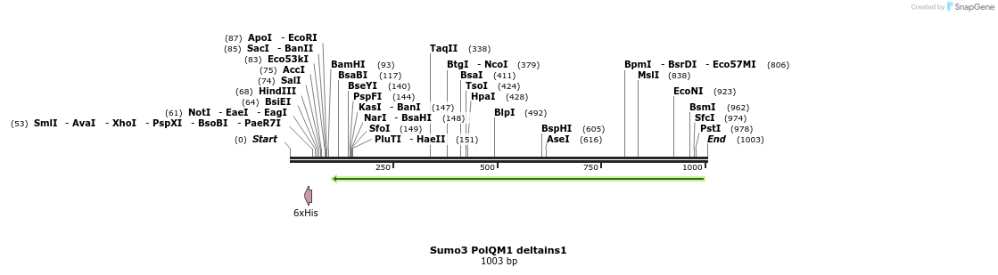 153062_map