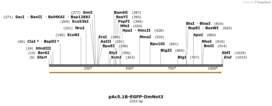153063_map