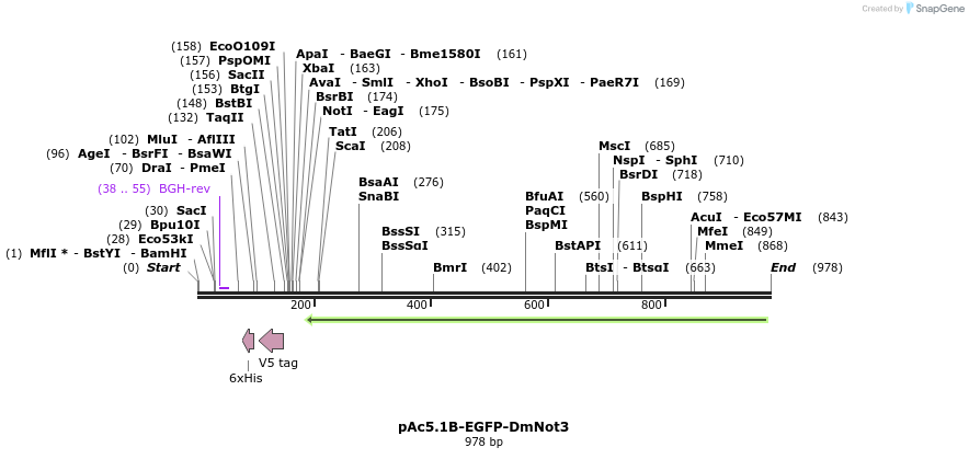 153064_map