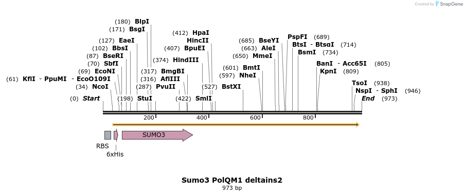 153065_map