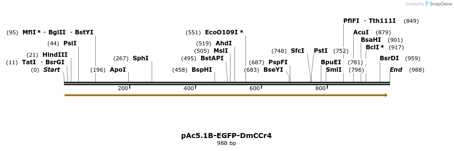 153067_map