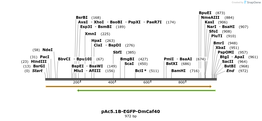 153069_map