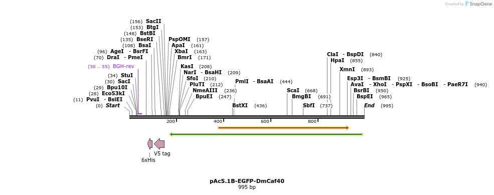 153070_map