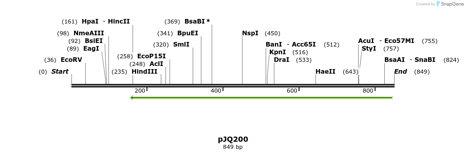 153074_map
