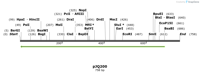 153075_map