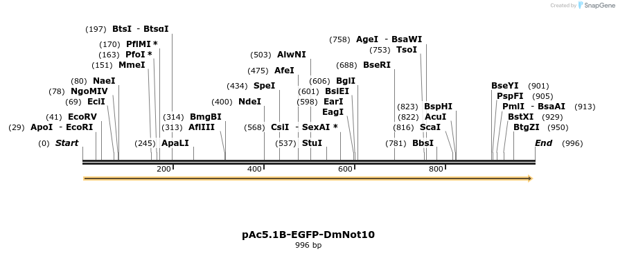 153084_map