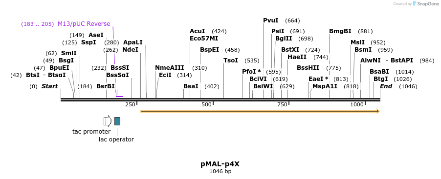 153087_map