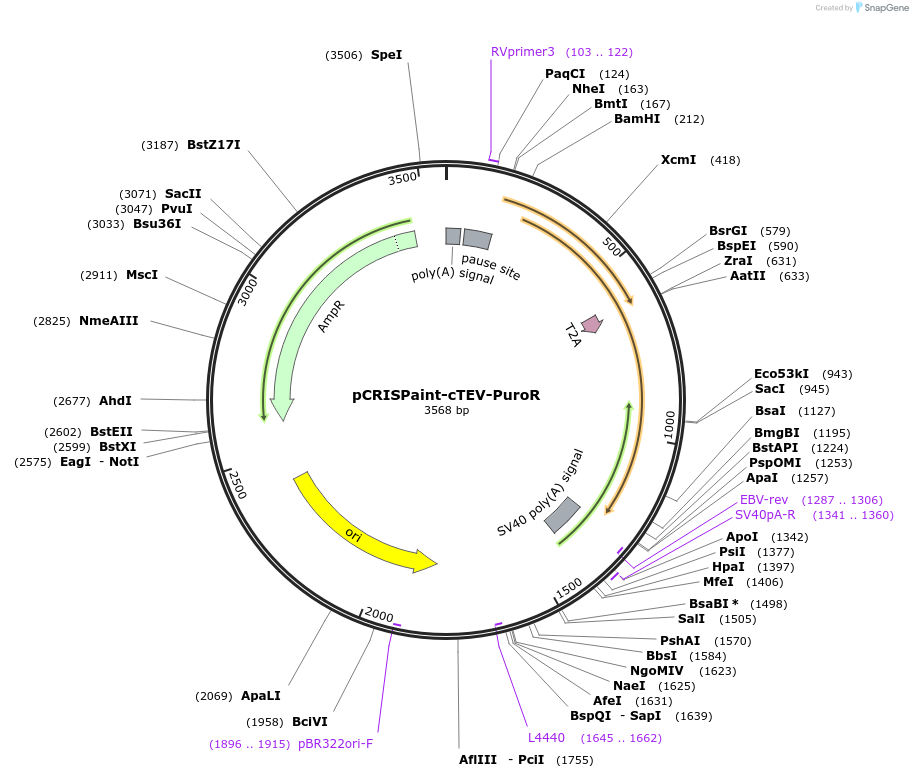 153090_map