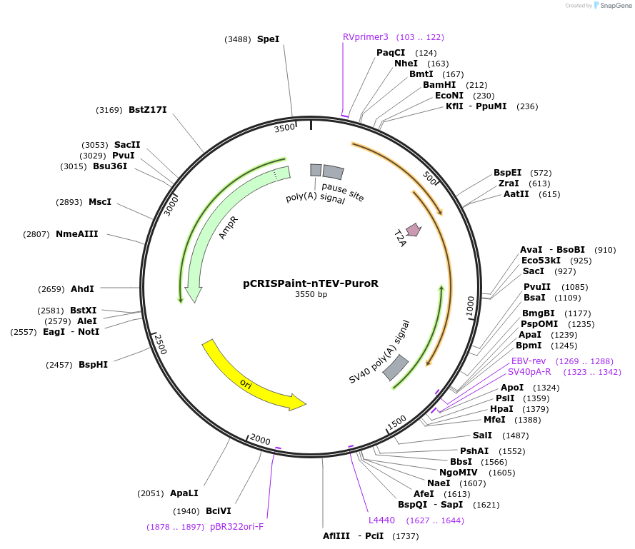 153095_map