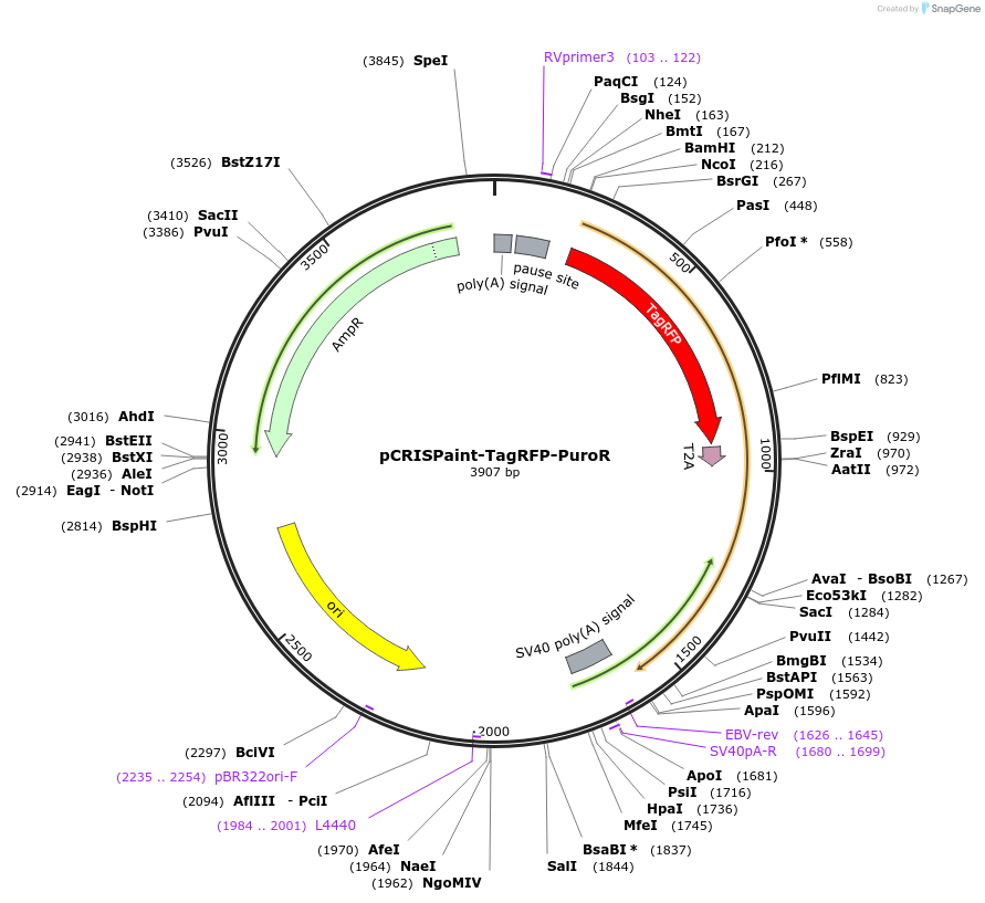 153103_map