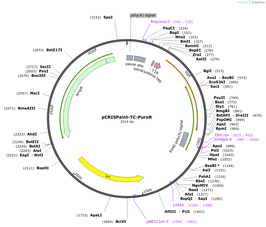 153104_map