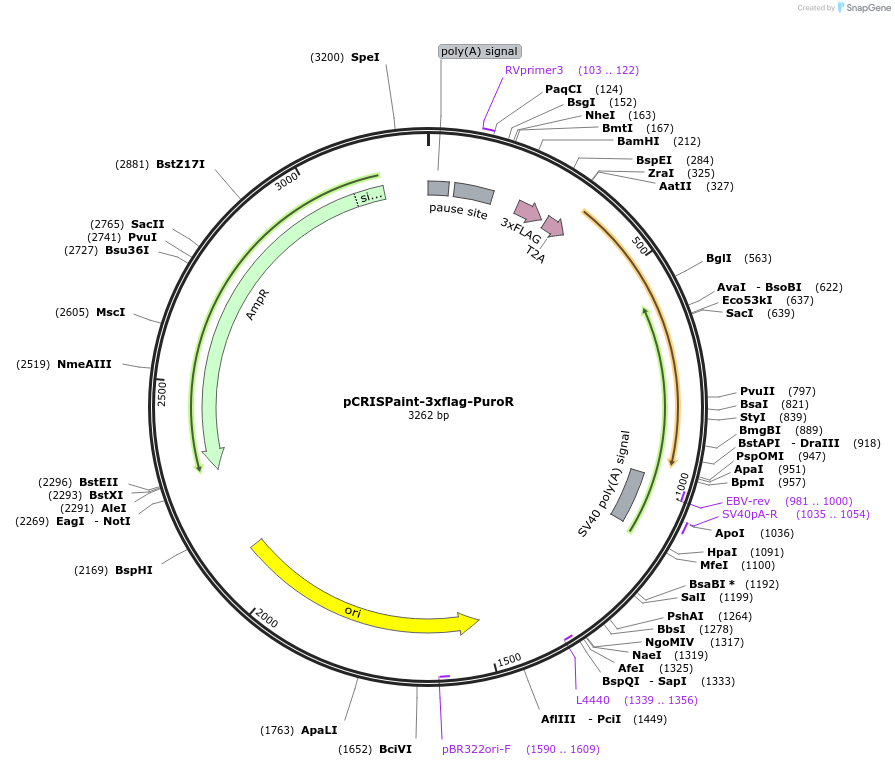 153105_map