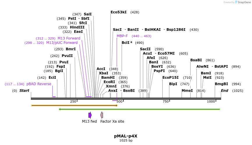 153109_map