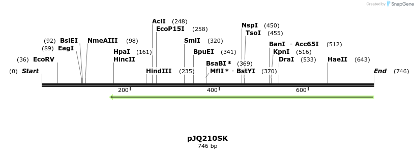 153110_map