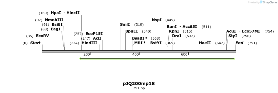 153112_map
