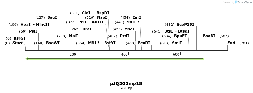 153113_map