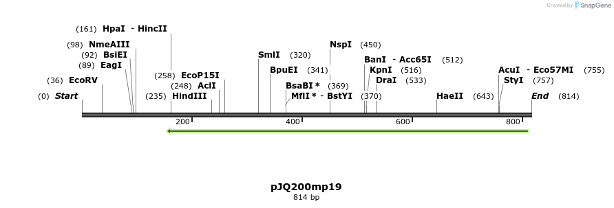 153114_map
