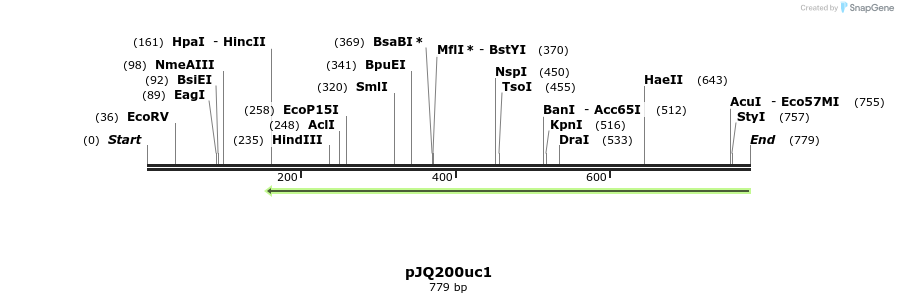 153118_map