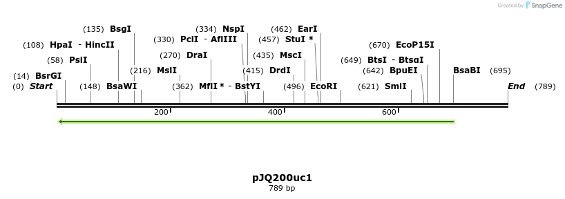 153119_map