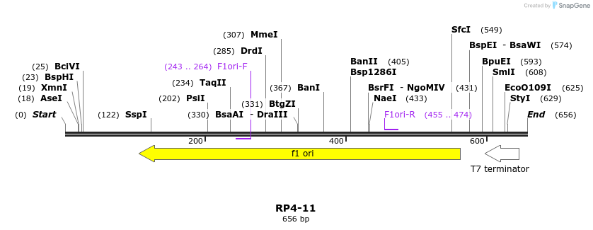 153120_map
